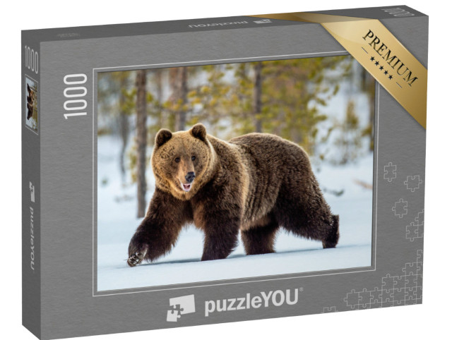 Puzzle 1000 Teile „Wilder erwachsener Braunbär streift durch den Winterwald“