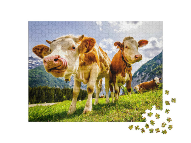 Puzzle 1000 Teile „Neugierige Kühe auf der Eng Alm in Österreich“