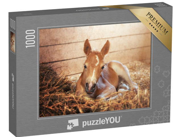 Puzzle 1000 Teile „Haflingerfohlen im Stall“