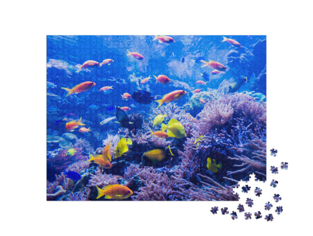 Puzzle 1000 Teile „Schöne Unterwasserwelt“