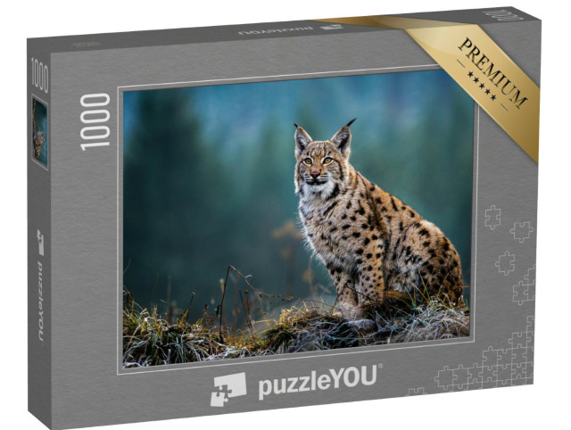 Puzzle 1000 Teile „Eurasischer Luchs“