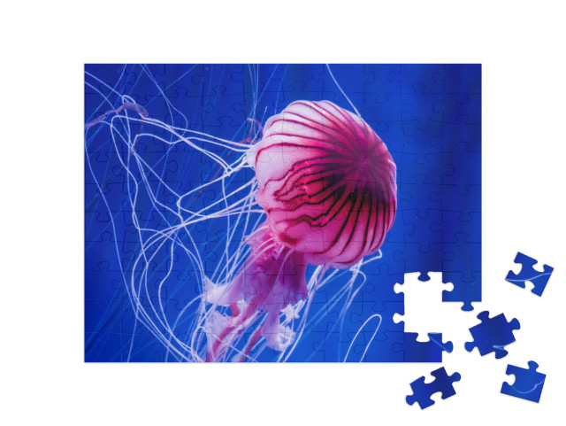 Puzzle 100 Teile „Rosa Qualle vor einem blauen Meereshintergrund“