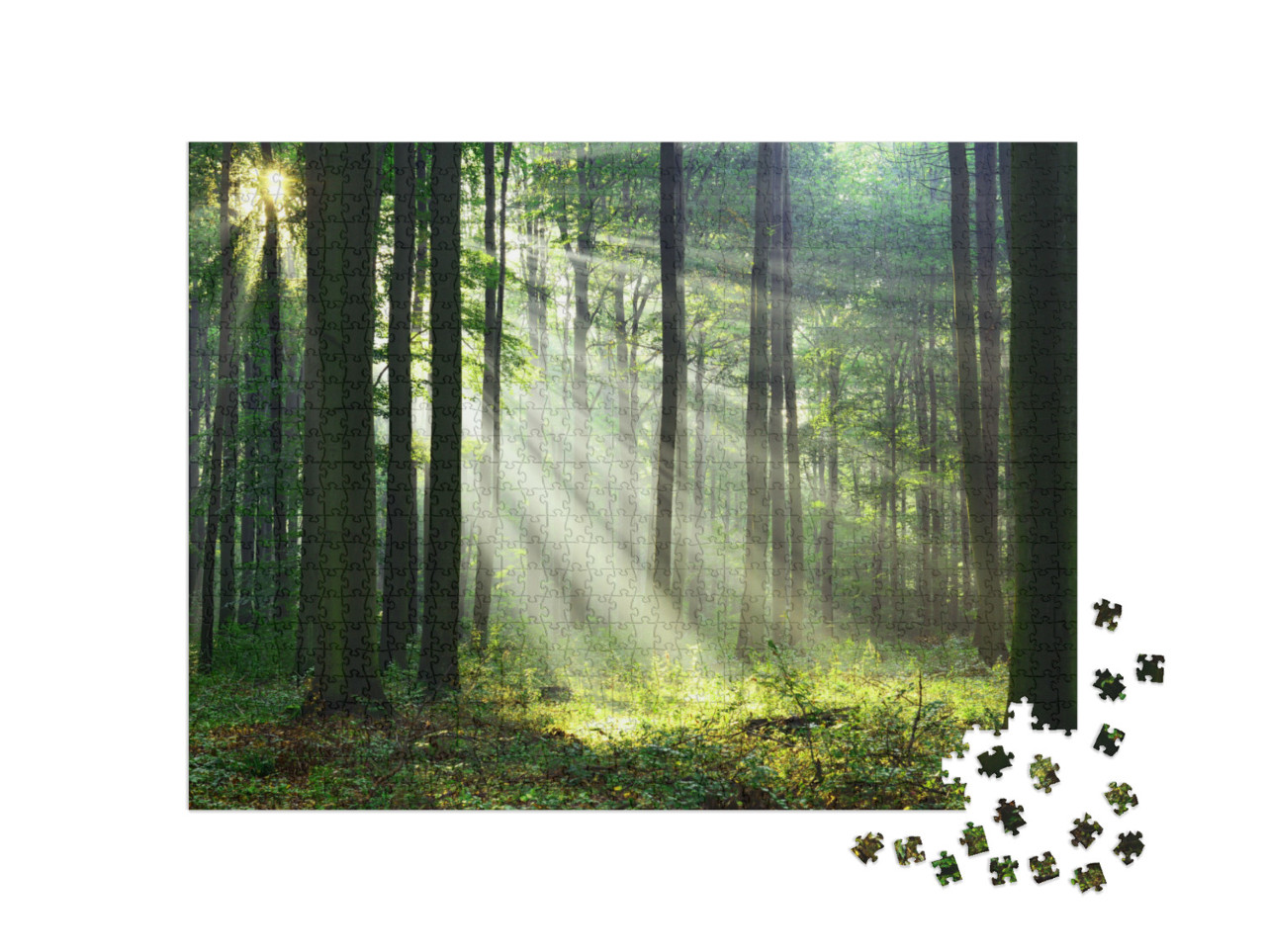 Puzzle 1000 Teile „Ein Morgen im Wald mit den ersten Sonnenstrahlen“