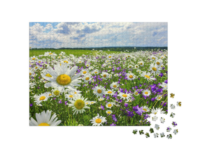 Puzzle 1000 Teile „Sommerlandschaft mit blühender Wiese und Blumen“