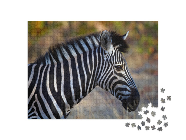 Puzzle 1000 Teile „Seiten-Porträt eines Zebras“