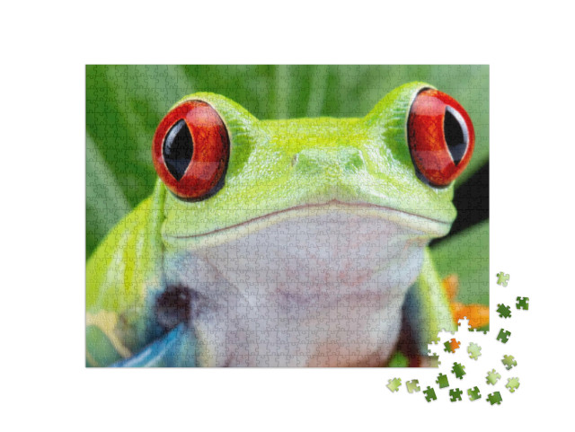 Puzzle 1000 Teile „Rotäugiger Laubfrosch“