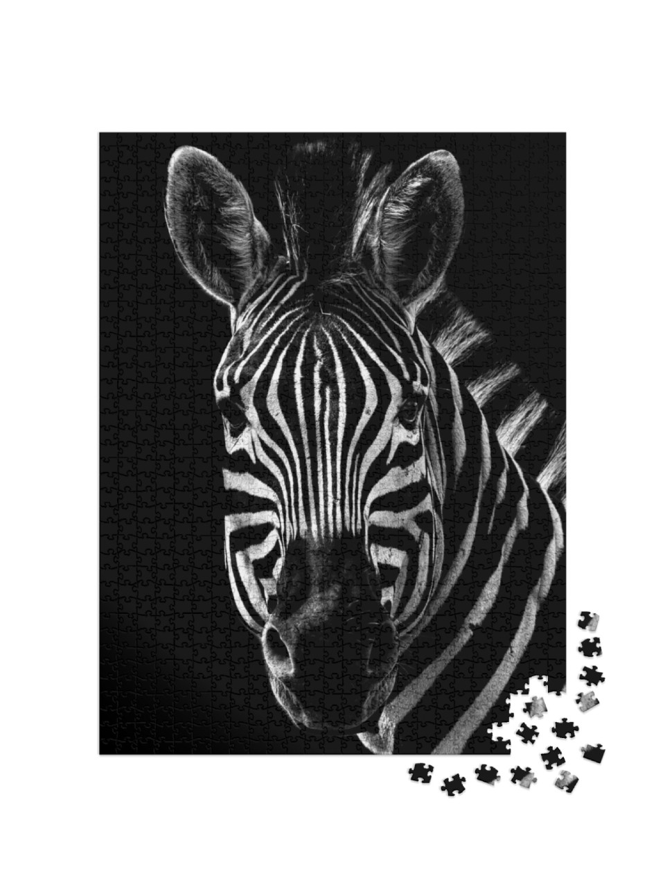 Puzzle 1000 Teile „Portrait eines Zebras “