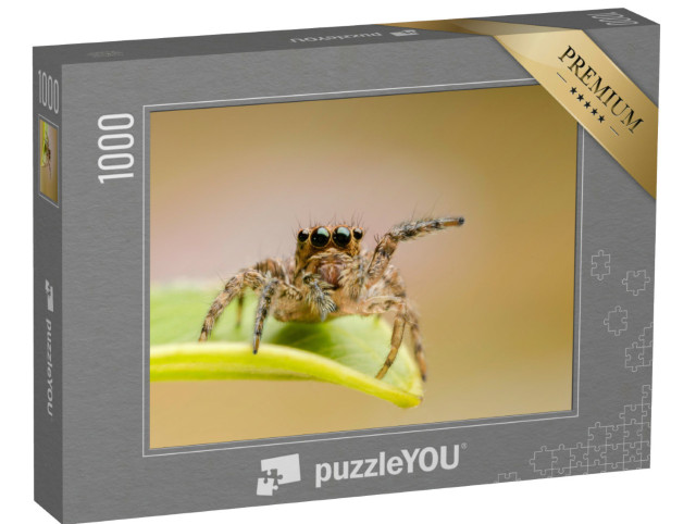 Puzzle 1000 Teile „Makro-Nahaufnahme der Hyllus-Springspinne“