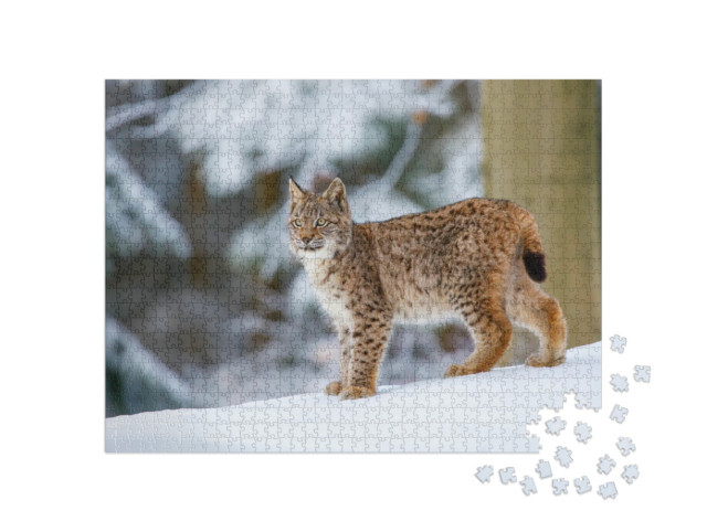 Puzzle 1000 Teile „Eurasischer Luchs im Winter“
