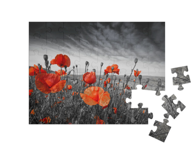 Puzzle 48 Teile „Mohnblumen auf einer Wiese“