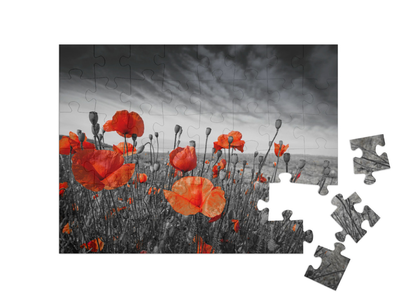 Puzzle 48 Teile „Mohnblumen auf einer Wiese“