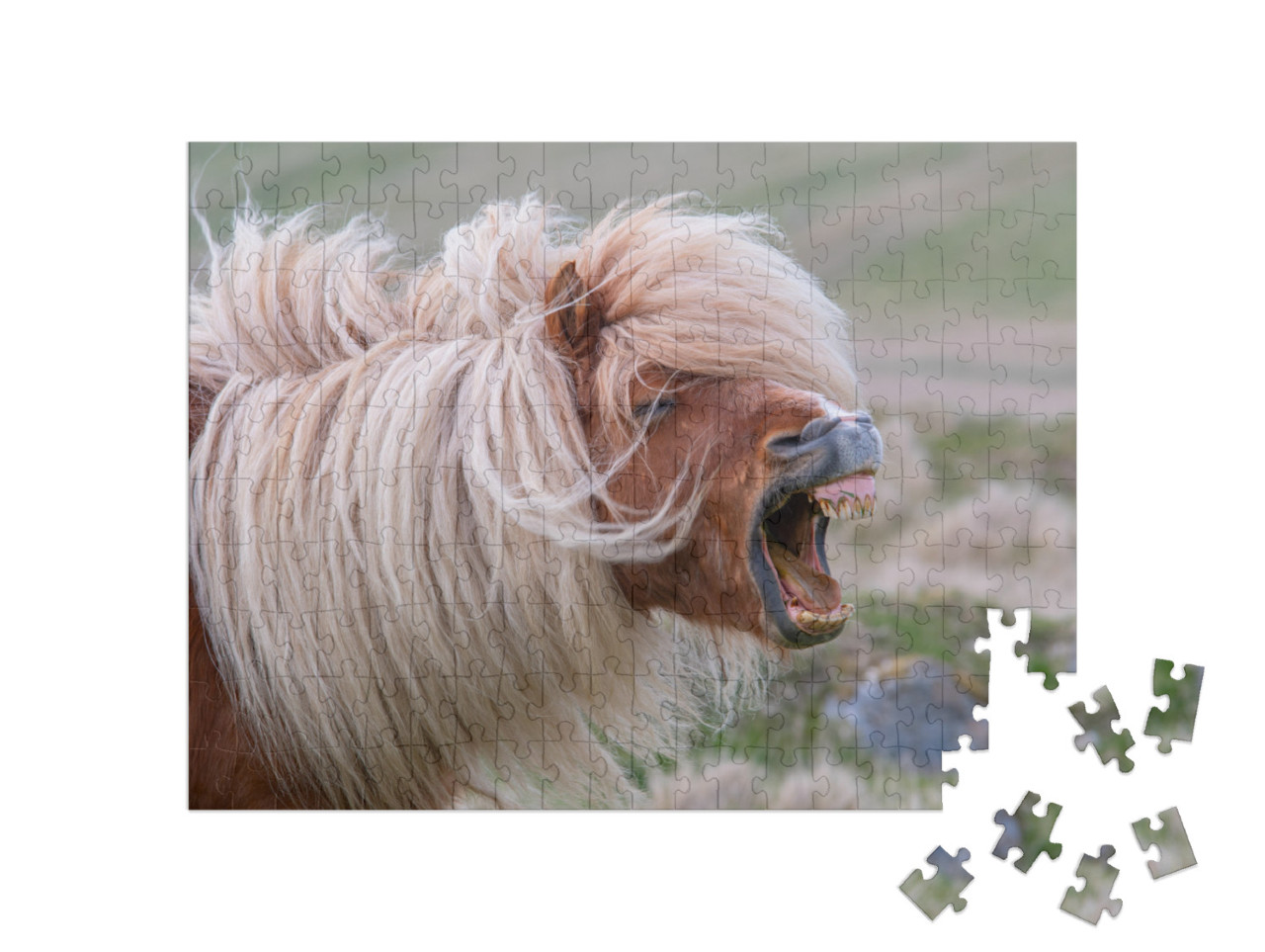 Puzzle 200 Teile „Wieherndes Shetlandpony mit wilder Mähne“