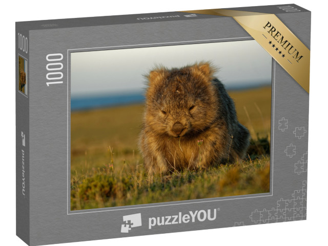 Puzzle 1000 Teile „Ein Wombat im tasmanischen Abendlicht, Australien“