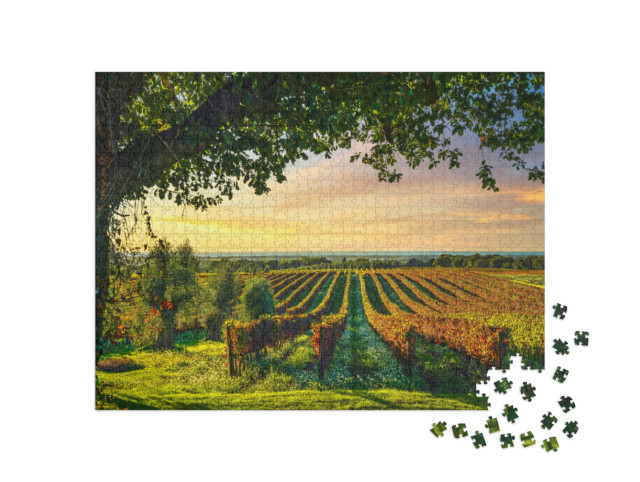 Puzzle 1000 Teile „Bolgheri Weinberg bei Sonnenuntergang, Toskana, Italien“