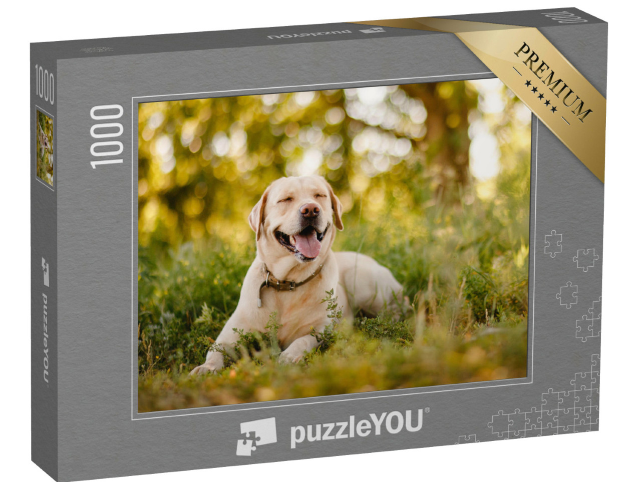 Puzzle 1000 Teile „Goldener Labrador Retriever bei einer Pause im Park“
