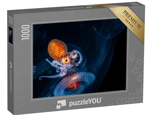 Puzzle 1000 Teile „Larven eines weiblichen Nautilus-Oktopus“