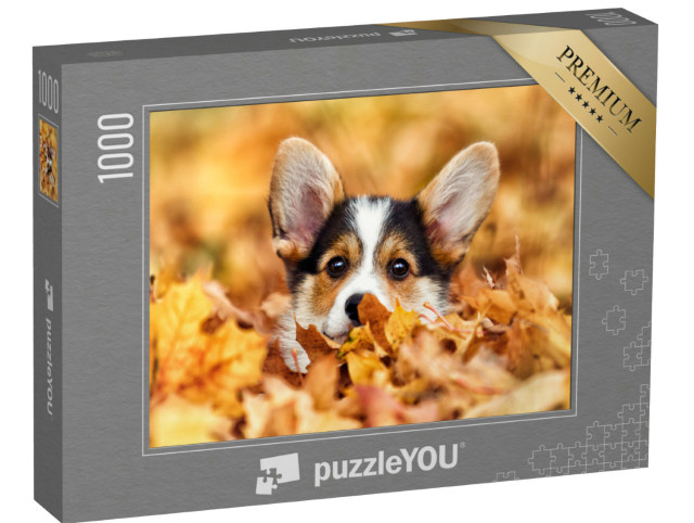 Puzzle 1000 Teile „Welsh Corgi im Herbstlaub “
