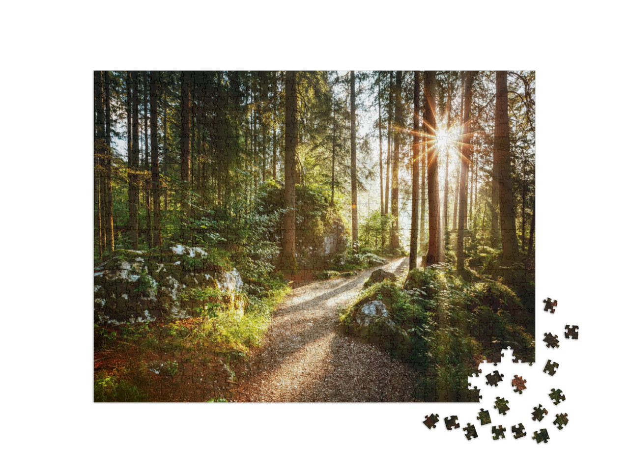 Puzzle 1000 Teile „Landschaft und Weg durch den Wald in der Morgensonne“