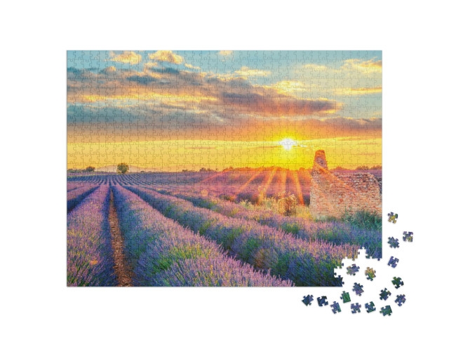 Puzzle 1000 Teile „Ein Lavendelfeld im Sonnenuntergang in Frankreich“