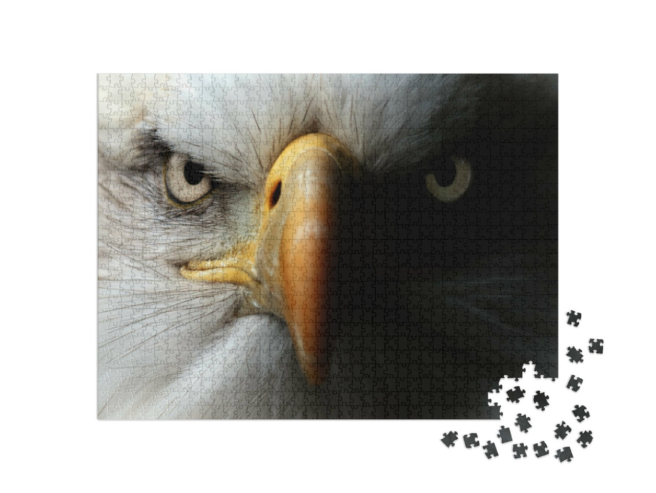 Puzzle 1000 Teile „Adler: Nahaufnahme als Portrait“