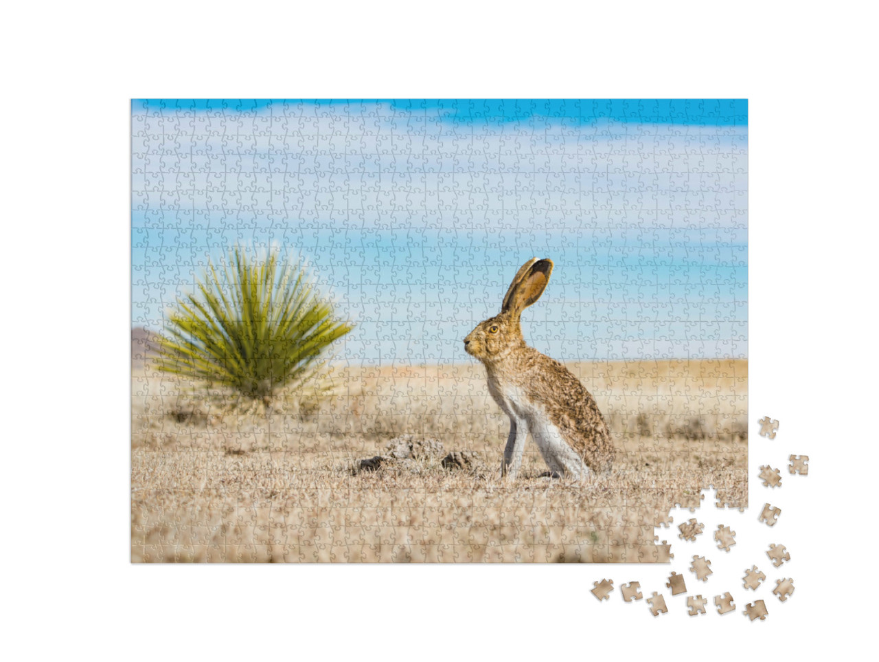 Puzzle 1000 Teile „Hase in trockenem Gras“