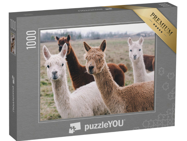 Puzzle 1000 Teile „Herde von Alpakas“