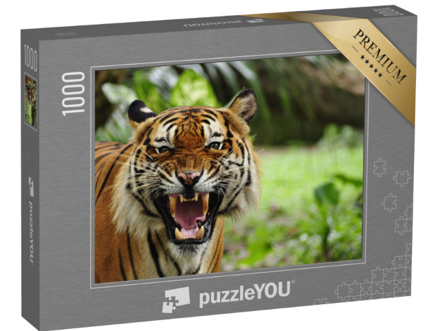 Puzzle 1000 Teile „Gebleckte Zähne eines Tigers“