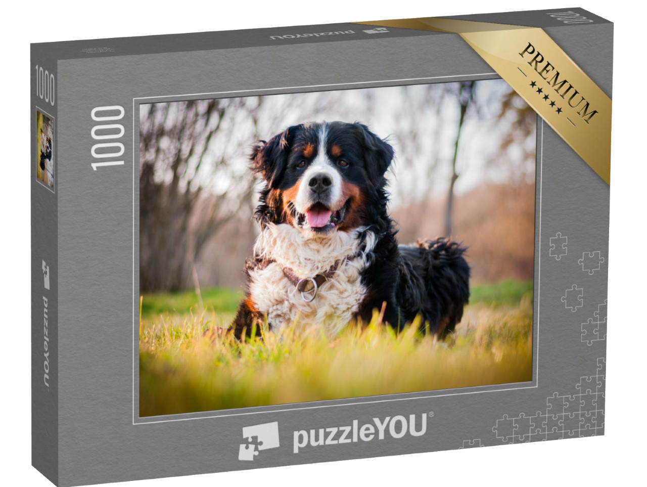 Puzzle 1000 Teile „Ein Berner Sennenhund“