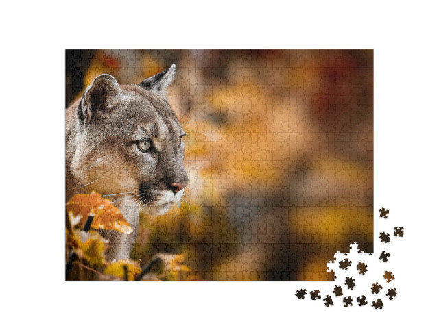 Puzzle 1000 Teile „Puma, auch bekannt als Berglöwe“