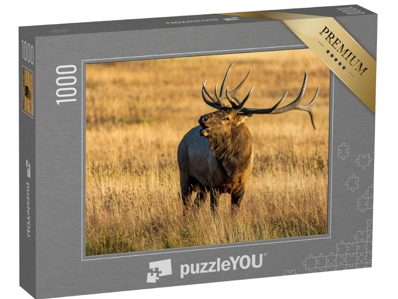 Puzzle 1000 Teile „Elche im Rocky Mountain National Park“