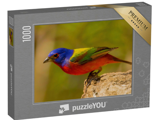Puzzle 1000 Teile „Die Rohrammer, Amerikas schönster Singvogel“