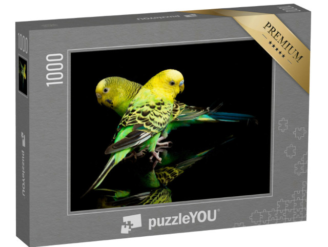 Puzzle 1000 Teile „Ein Paar Wellensittiche, Melopsittacus undulatus“