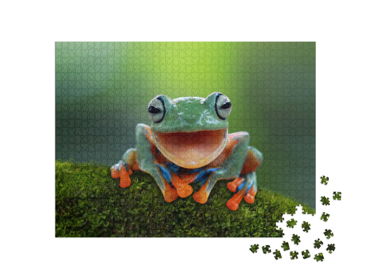 Puzzle 1000 Teile „Ein fröhlicher Laubfrosch“