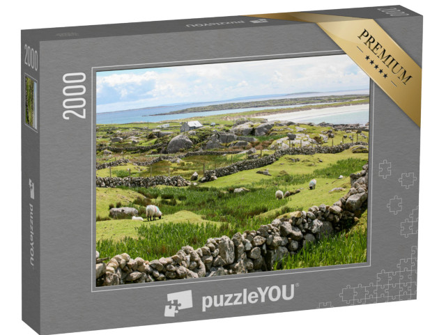 Puzzle 2000 Teile „Irische Steinmauern an der Küste“