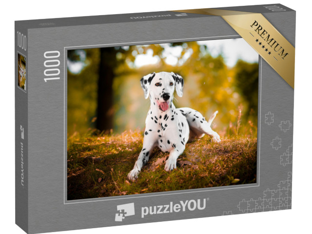 Puzzle 1000 Teile „Dalmatiner im Gras “