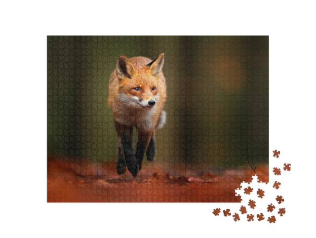 Puzzle 1000 Teile „Rotfuchs in herbstlichem Gelände“