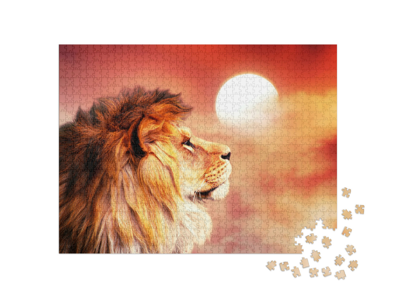 Puzzle 1000 Teile „Afrikanischer Löwe im glühenden Sonnenuntergang“