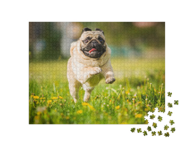 Puzzle 1000 Teile „Mops in vollem Lauf über eine Löwenzahn-Wiese“