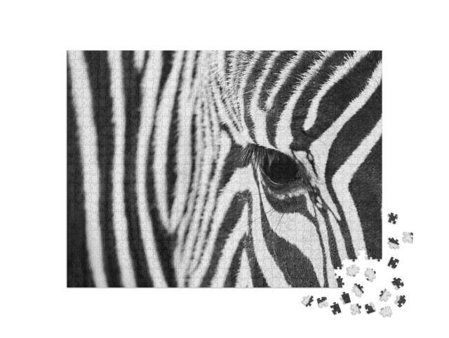Puzzle 1000 Teile „Auge eines Zebras “