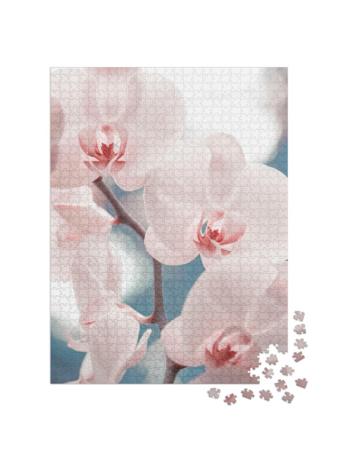 Puzzle 1000 Teile „Zartrosa Phalaenopsis-Orchidee“
