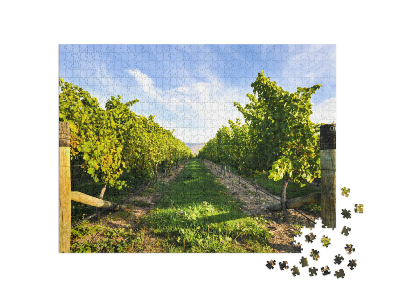 Puzzle 1000 Teile „Reihe von Weinbergen bei schönem Wetter “