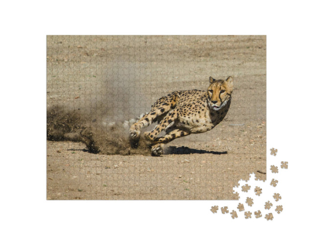 Puzzle 1000 Teile „Gepard “