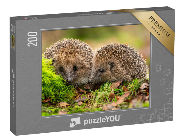 Puzzle 200 Teile „Zwei Igel kuscheln im Moos und Laub“