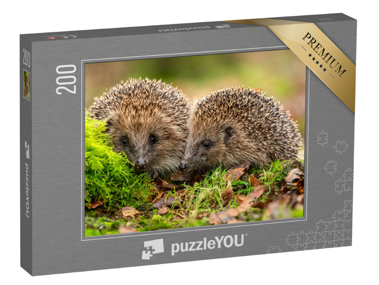 Puzzle 200 Teile „Zwei Igel kuscheln im Moos und Laub“