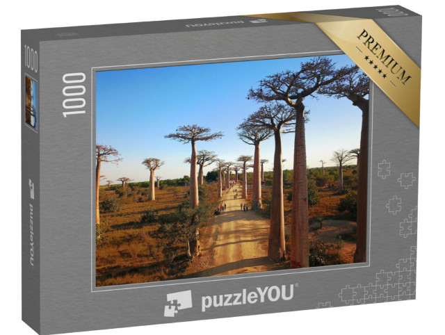 Puzzle 1000 Teile „Madagaskar's Baobabs,Luftaufnahmen,Morondava Region,Baobabs Schöne Aussicht“