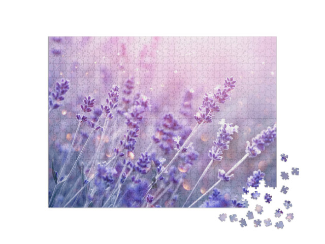 Puzzle 1000 Teile „Blühender Lavendel im sanften Abendlicht“