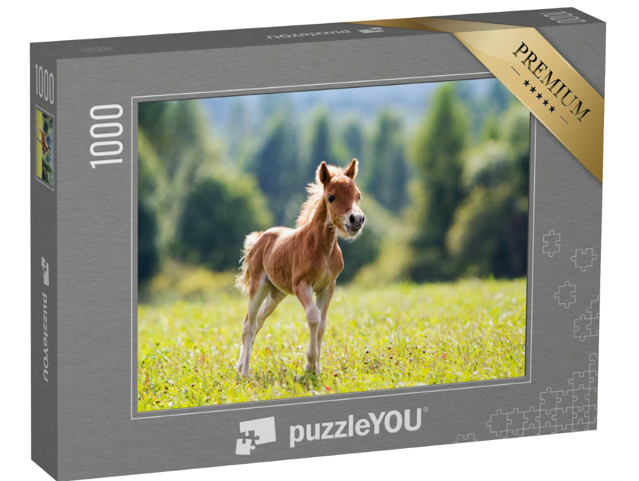 Puzzle 1000 Teile „Minipony Falabella “
