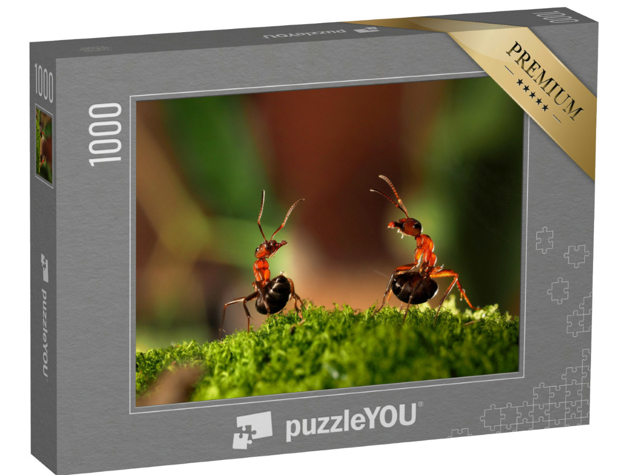 Puzzle 1000 Teile „Der Kampf zweier Ameisen“