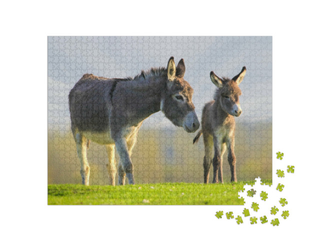 Puzzle 1000 Teile „Graues niedliches Eselbaby und Mutter auf Blumenwiese“