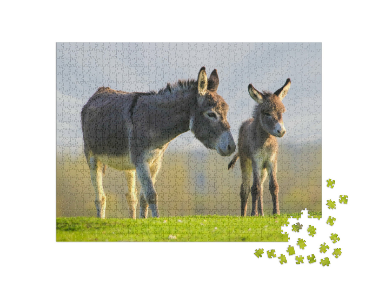 Puzzle 1000 Teile „Graues niedliches Eselbaby und Mutter auf Blumenwiese“
